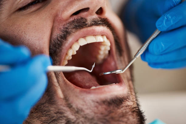 Professional Holistic Dental Care Services in Brunswick, NC